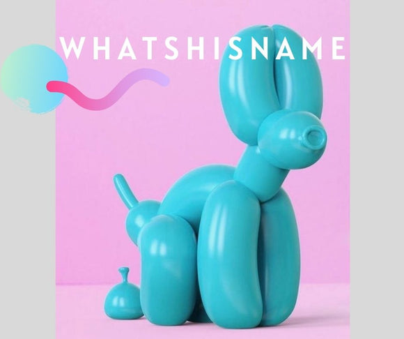 Whatshisname