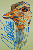 NOBA, Ostrich, matite colorate, e marker su cartoncino colorato, 29 x 21 cm