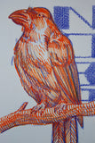 NOBA, Crow, matite colorate e marker su carta 35 x 25,5 cm